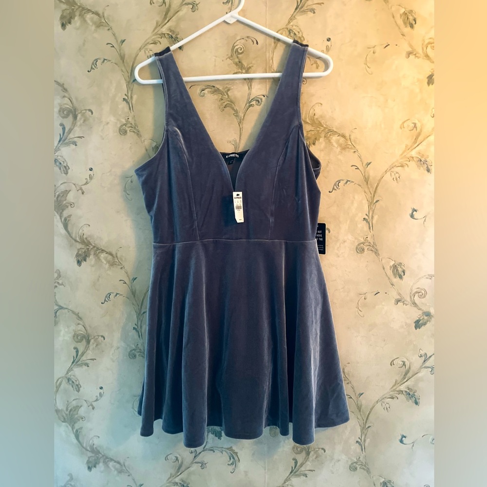 Express velvet grey dress